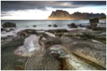 Stacks Image 64165