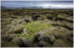 Stacks Image 65953