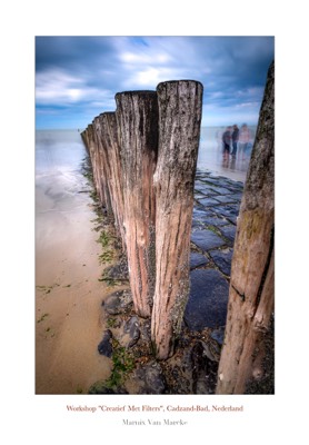 Stacks Image 5220